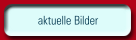 aktuelle Bilder