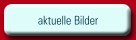 aktuelle Bilder
